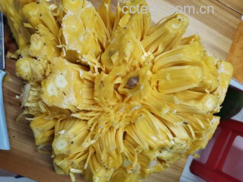 黄心菠萝蜜与红心菠萝蜜对比图