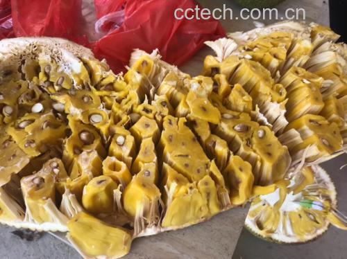 成熟菠萝蜜切开果肉展示图