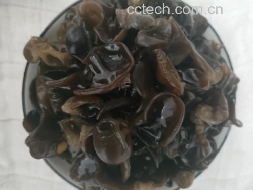黑木耳与韭菜饺子成品展示