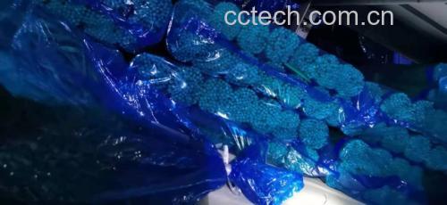 蒜薹炒鸡蛋成品图