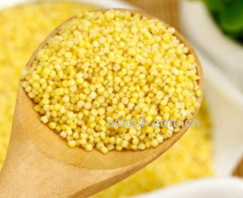 油菜与小米的营养成分对比图