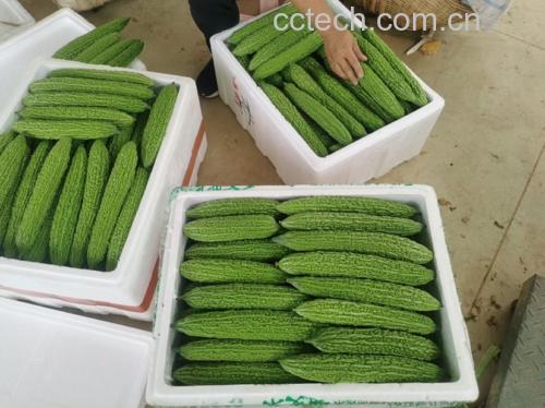 榨汁食材摆盘图