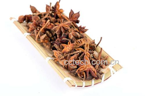 十香菜在厨房中的应用图