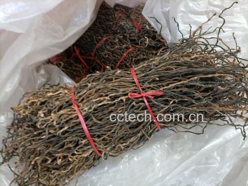 干煸豆角的原材料展示