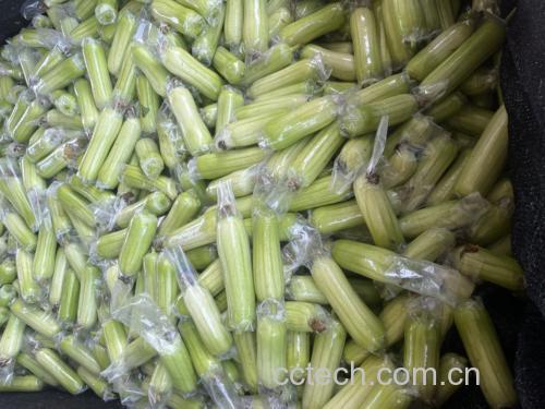 凉拌玉菇甜瓜丝成品图