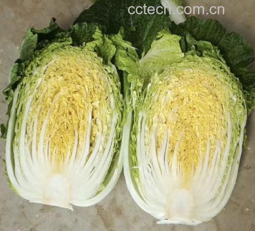 黄心白菜切段与粉条泡发过程