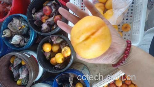 新鲜红油蟠桃堆放在竹篮中