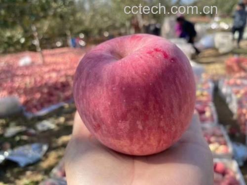 红肉苹果与嘎啦苹果营养成分对比图