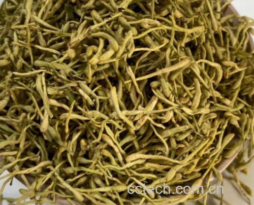 白扁豆花泡茶图