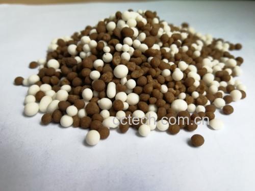 白豆蔻与白扁豆的对比图