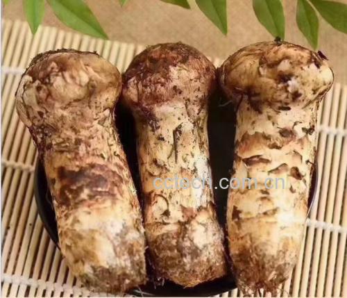 松茸炖白菜成品图