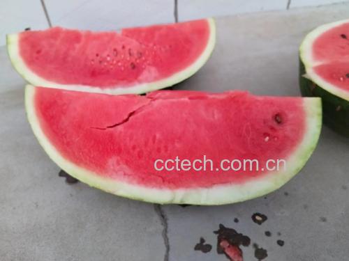 三种水果拼盘
