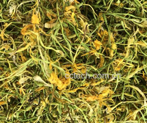 金花茶与柠檬选购指南示意图