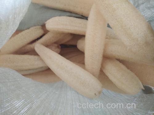 丝瓜烹饪图