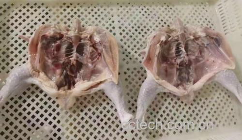鸡肉炖萝卜做法步骤图