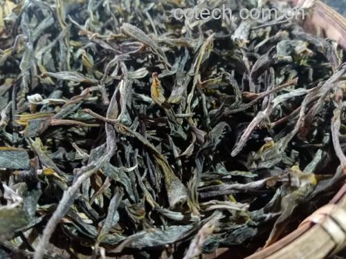 显齿蛇葡萄藤茶冲泡图