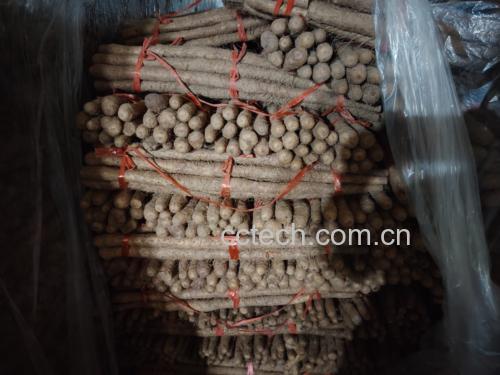 拔丝山药青红丝刀克成品展示图