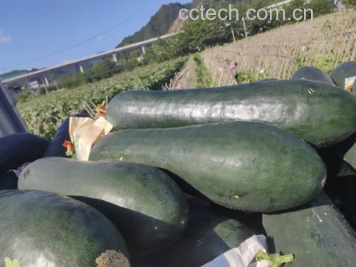 野菜蒸菜搭配主食的用餐场景图