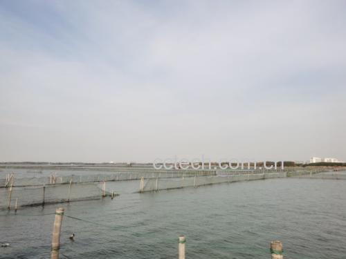 阳澄湖大闸蟹养殖基地实景图