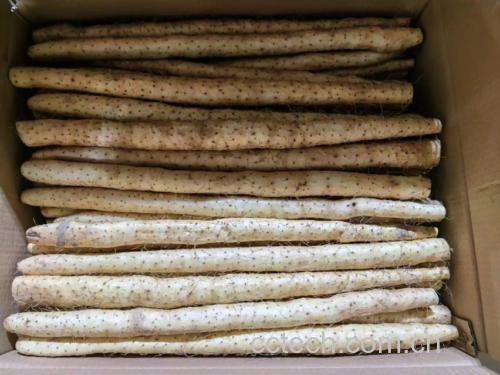 白扁豆食谱示意图