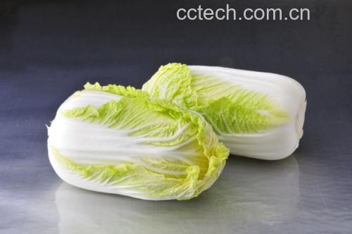 新鲜菠菜与婴儿辅食材料摆拍图