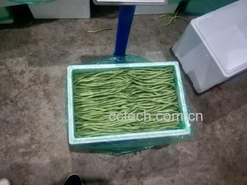 厨房冰箱中摆放整齐的保鲜盒