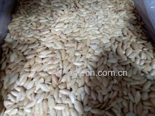 南瓜搭配辅食食材图