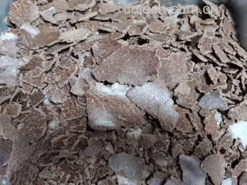 花生油与菜籽油营养成分对比图表