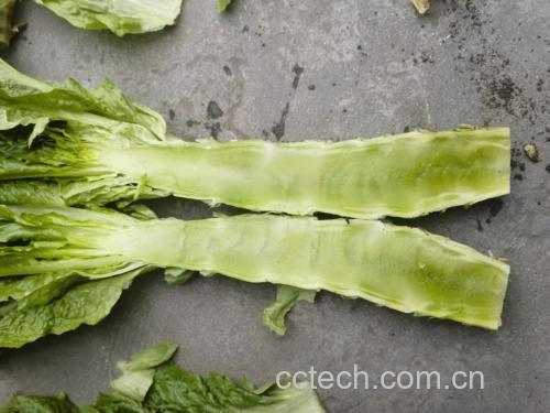 绿心莴苣与白心莴苣对比图