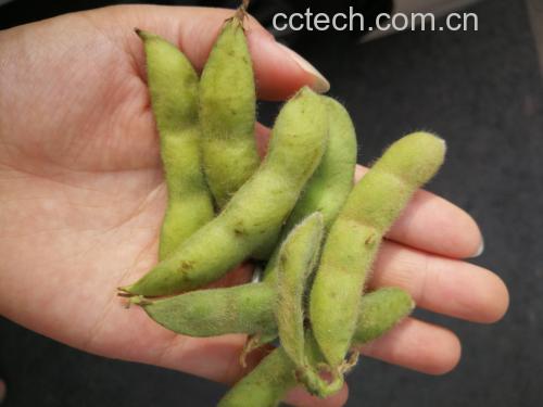 宝宝与父母一起享用健康辅食