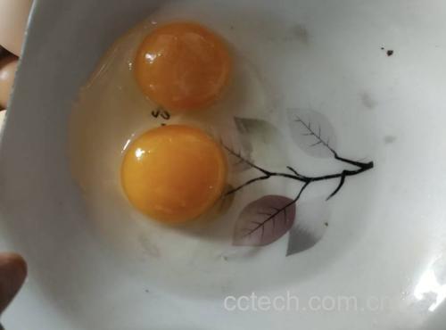 双黄鸡蛋特写