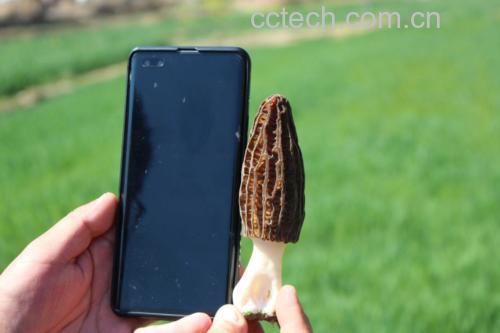 肠胃不适与健康饮食对比图