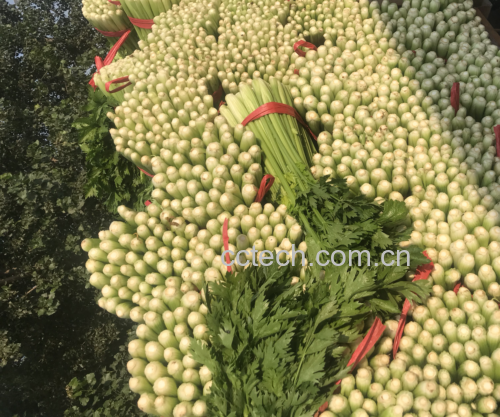 新鲜西芹与豆腐干摆放整齐