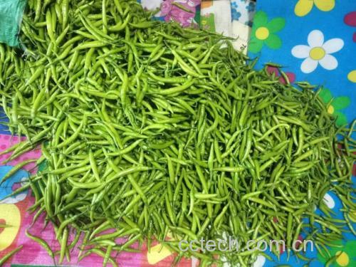 猪肝和圆椒的新鲜食材摆盘图