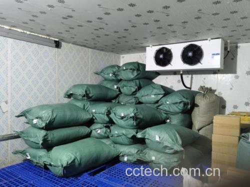 青圆椒储存方式示意图