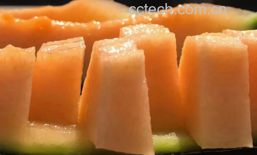 西州蜜瓜特写图