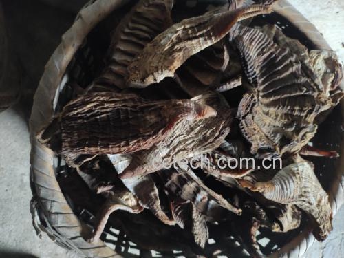 红菜苔制成的梅干菜成品图