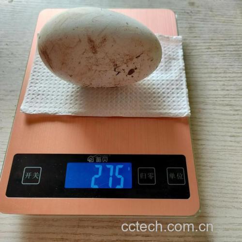 一个鸡蛋多重？多少个鸡蛋重一千克？