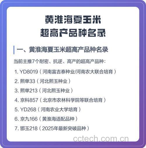 黄淮海夏玉米区的新宠——昊棒311,高产抗病新选择