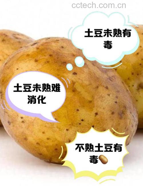 土豆不熟吃了会怎么样?后果严重吗?